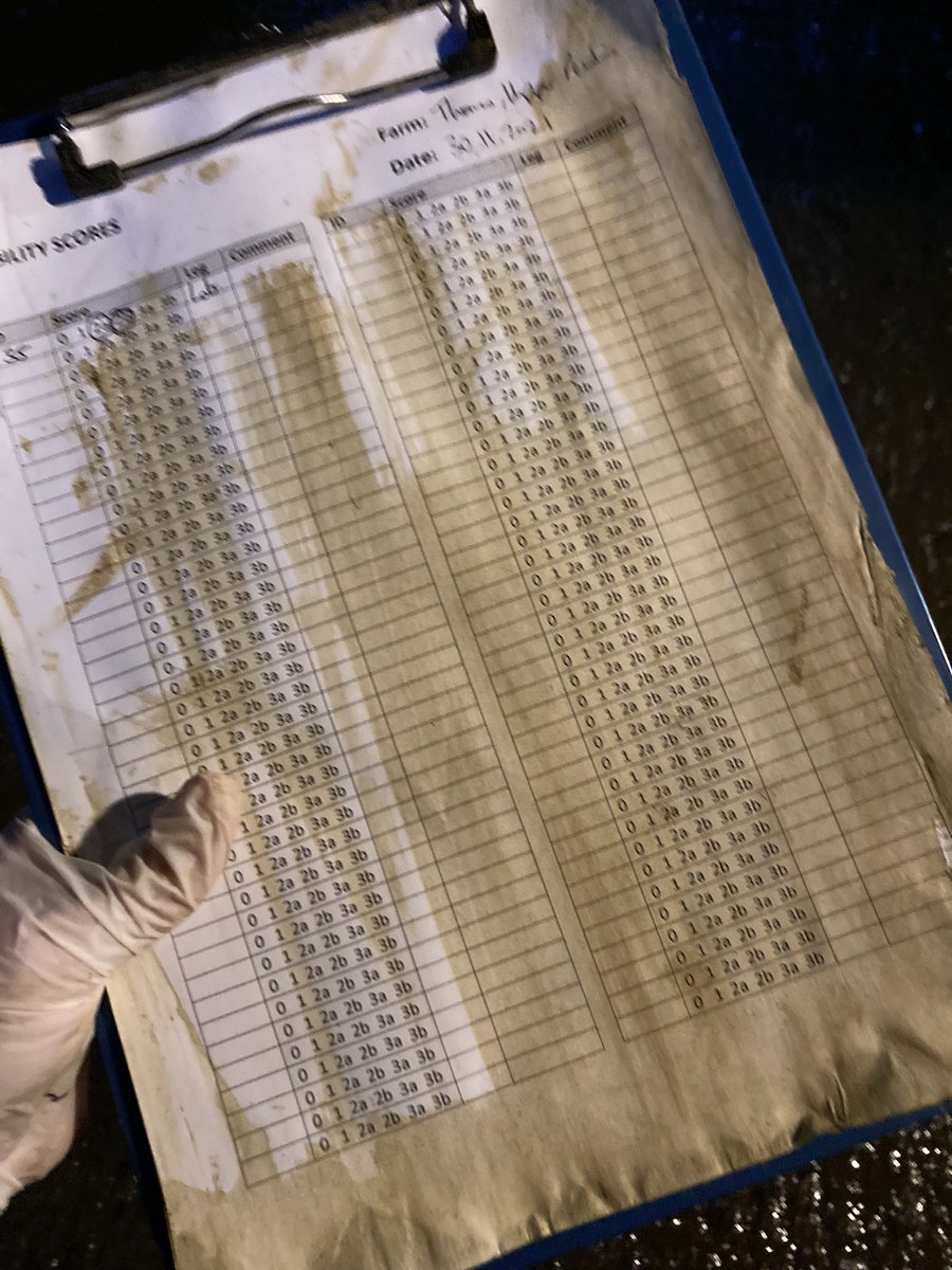 SaraPedersen3's tweet photo. Great evening last night talking #DigitalDermatitis w @DroveFarmVets Discussion Group (despite my ppt crashing multiple times!)… back to it early this morning w two #EIPWales mobility scores ticked off list today. Minor paperwork disaster! #healthyfeet https://t.co/1g3UAjN9XM