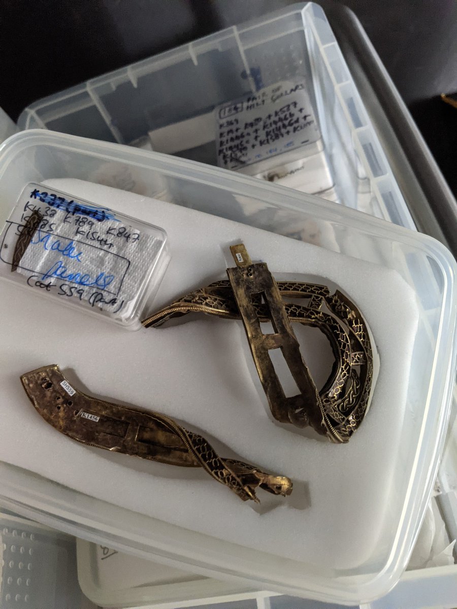 Joseph Perry tweet media