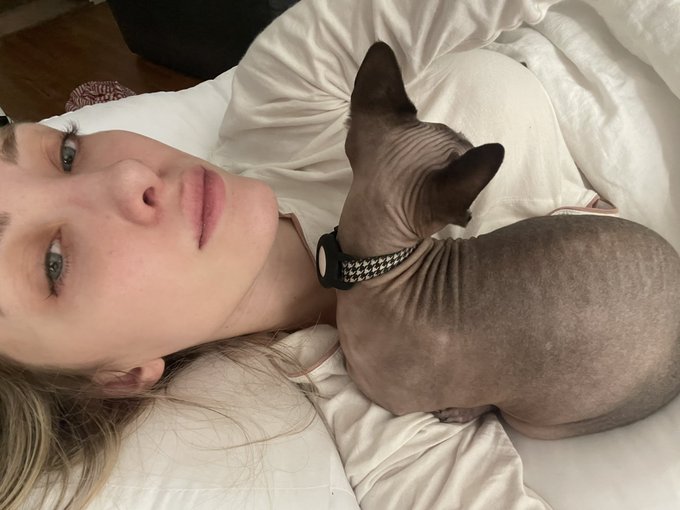 Cat must squish boob it is law https://t.co/tt6ypWBv75