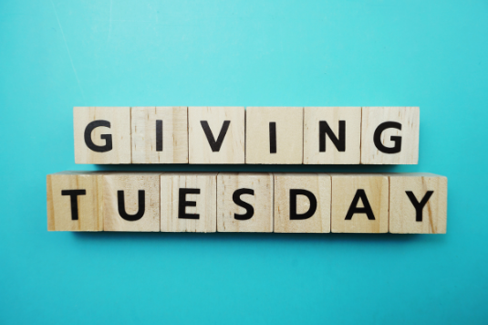 ed_archives's tweet photo. We are really excited for #GivingTuesday2021! Giving Tuesday is one of the  most important fundraising days of the year for non-profits. Please consider contributing to a cause that's close to your heart.

Consider donating today: https://t.co/fghtkMJ37B https://t.co/NApOKAmDj4
