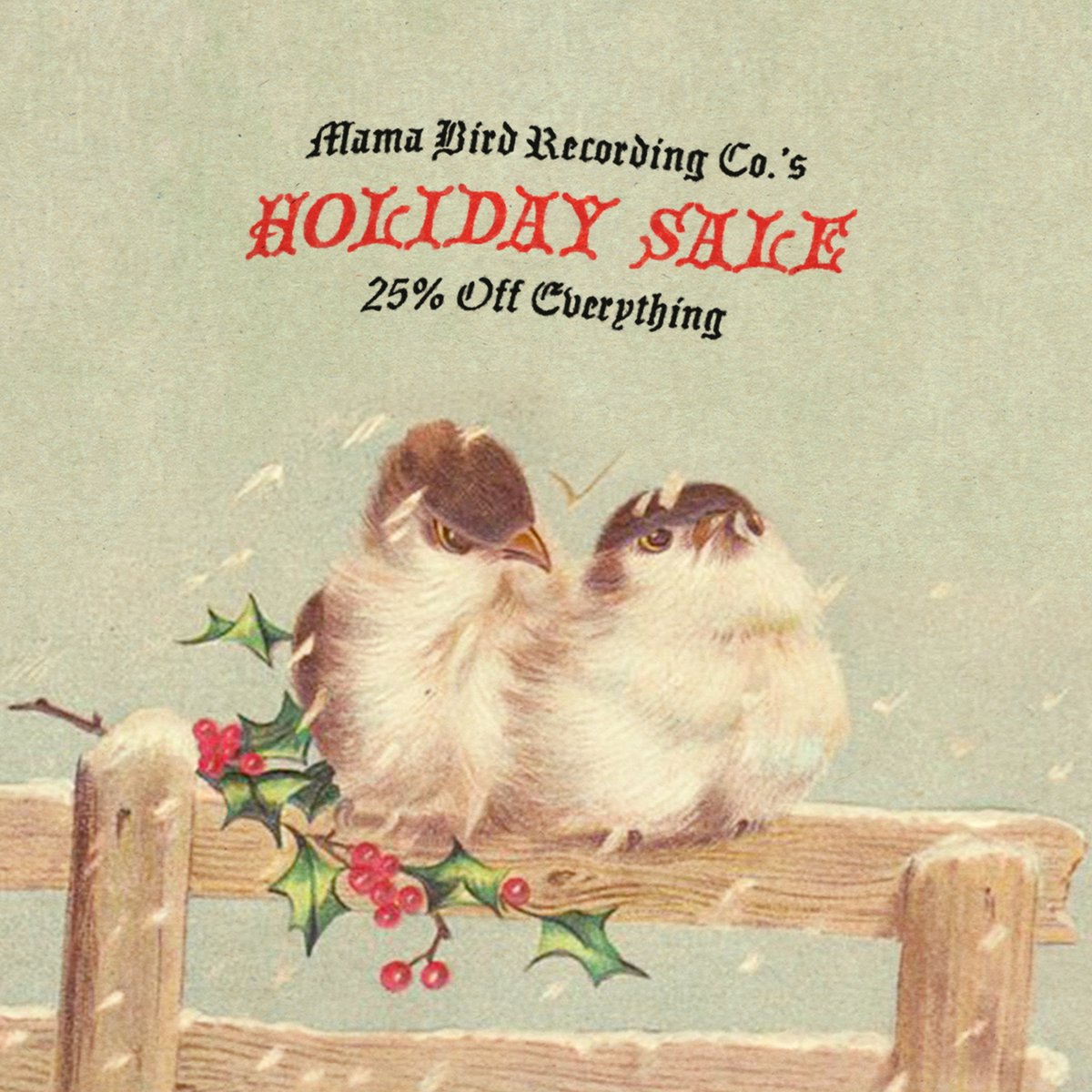 Mama Bird Recording Co. tweet media