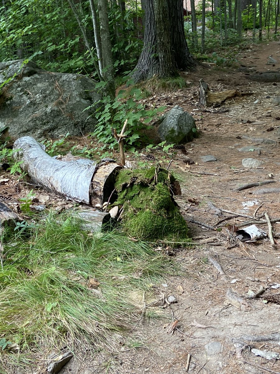 Kent Lassman tweet media