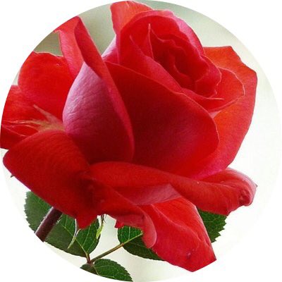 arshd28077322's tweet photo. @shhade20 https://t.co/LqMXmtIWbF