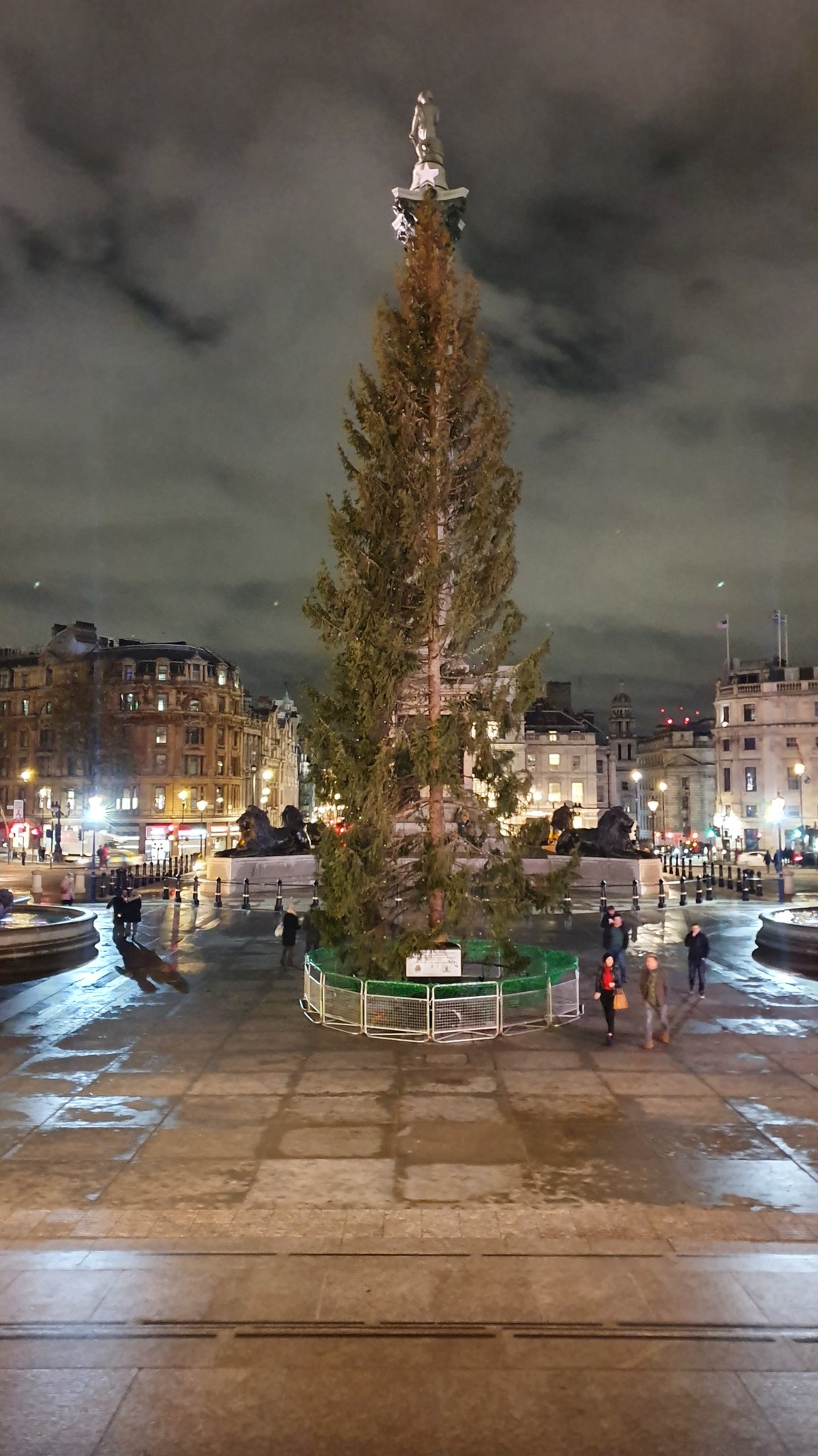 Christmas tree 2024 in trafalgar square