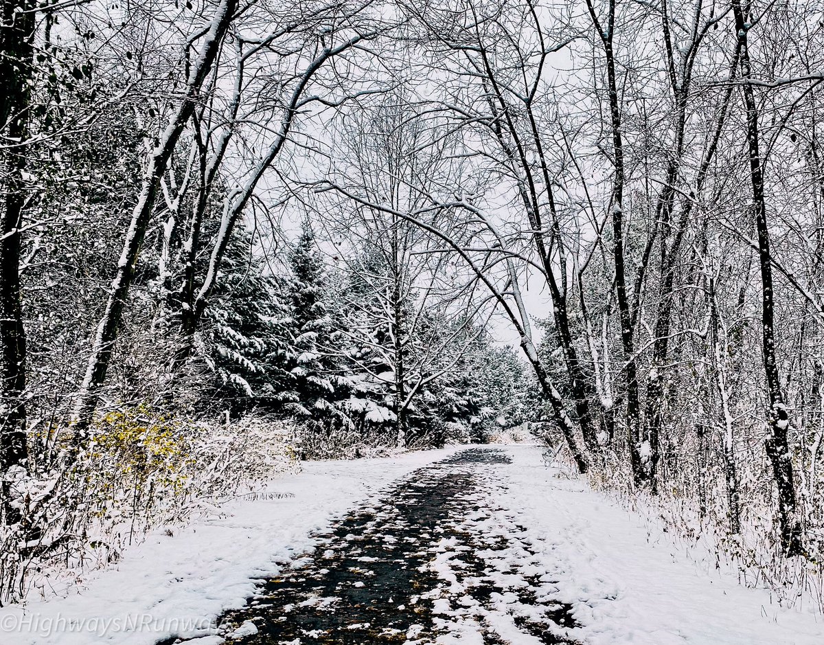 highwaysnrunway's tweet photo. #winter #WinterWonderland #Canada #Toronto #1stSnowfall #Winter2021 https://t.co/OAaX4RvXBL