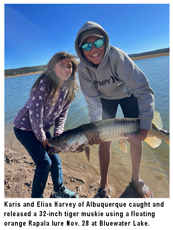 NMDGF's tweet photo. This #fishingreport, provided by Dustin Berg of Go Unlimited (supporting disabled anglers) and @NMDGF, has been generated from the best information available from area officers and anglers. #fishnm #nmwildlife #wildnm #nmfishingreport #nmfishingchallenges
https://t.co/ldM0EjWWlI https://t.co/pBHc0lXpqY
