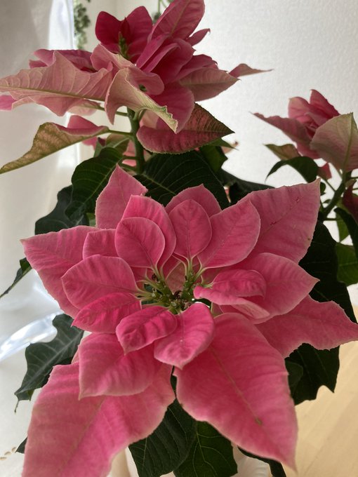 Gurichannelさんのイラストまとめ