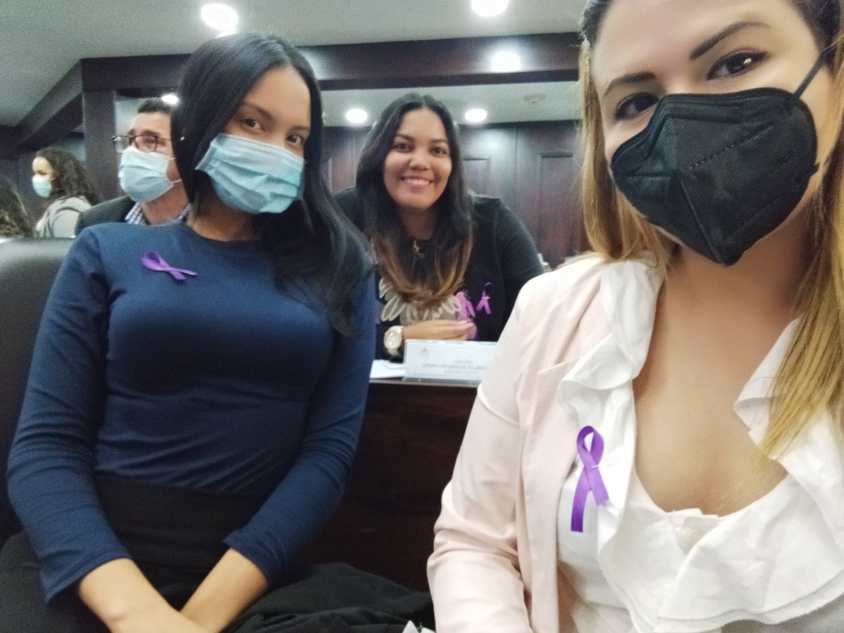 VaneRobertazzo's tweet photo. Las mujeres de @cambiemosmc1 hoy dijimos PRESENTE en la sesión ordinaria de la @Asamblea_Ven para iniciar la segunda discusión de la Ley Orgánica sobre el derecho de las mujeres a una vida libre de violencia💜
#NiUnaMenos https://t.co/GPGhO8wcHh
