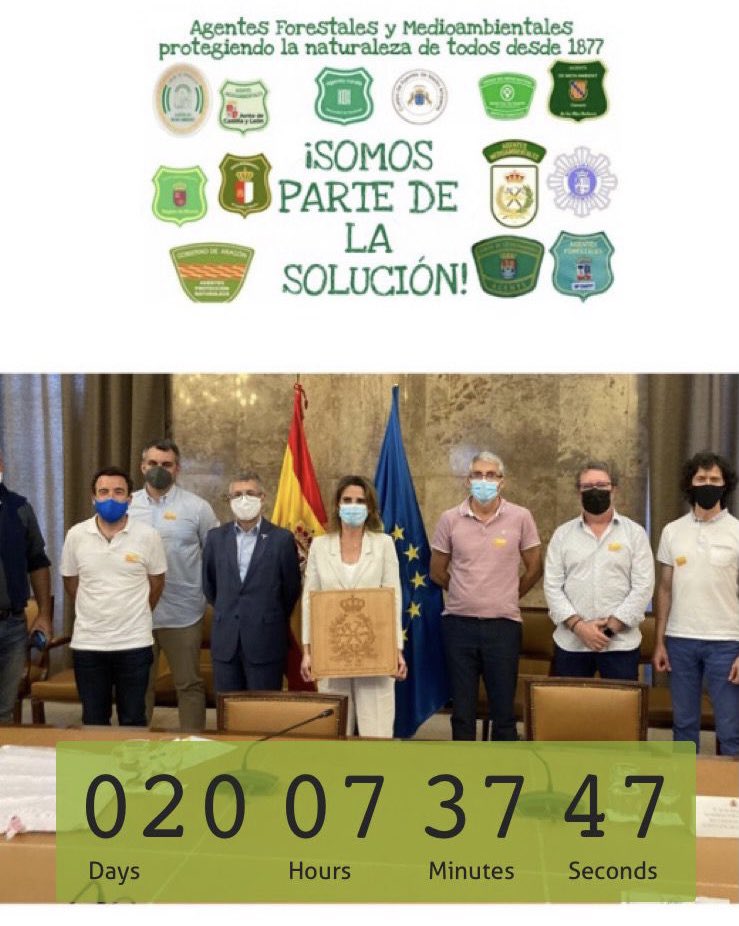 UGTForestales's tweet photo. Más de 6.000 funcionari@s tremendamente defraudados con @sanchezcastejon por la forma de afrontar la #LeyBasicaAAMM 🌳

@Forestales_CCOO 
@UGTForestales 
@CSIF_forestales 
@AEAFMA 

El @PSOE participa en el Gobierno de 9 #CCAA y no logra ningún apoyo en Conferencia Sectorial 🌳 https://t.co/7ohzQ265tr