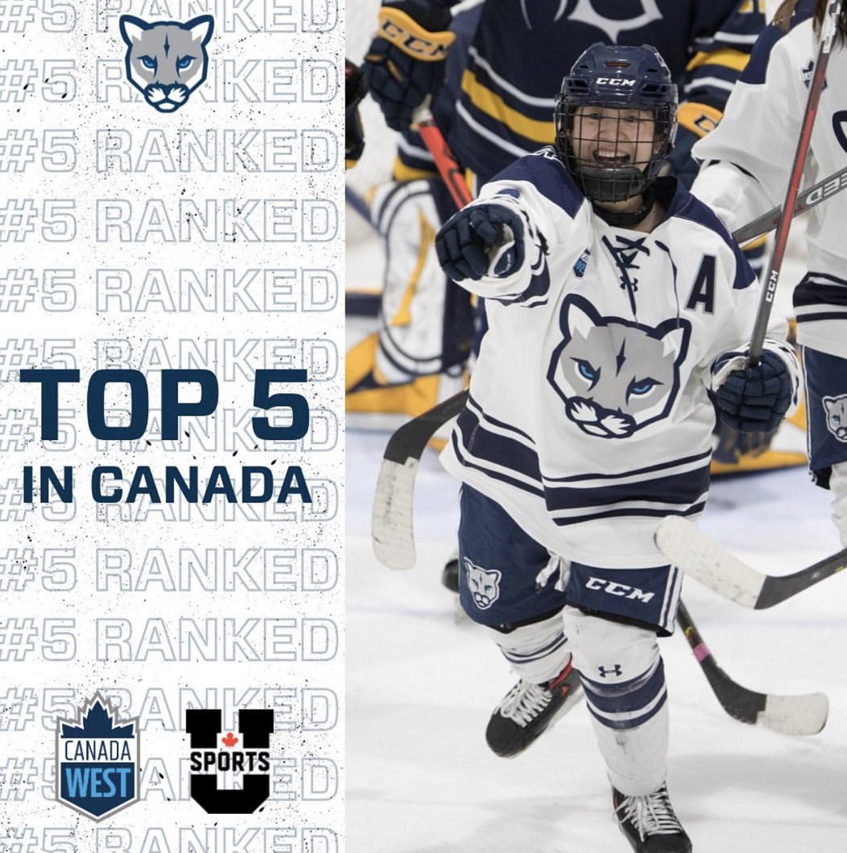 mruwhockey's tweet photo. it’s a good day to be in the TOP 10🥳

Your Cougs are currently sitting at #️⃣5️⃣ heading into our final weekend of the first half! 

#WeAreTheCougars @MRUCougars https://t.co/ZMHxWTnStR