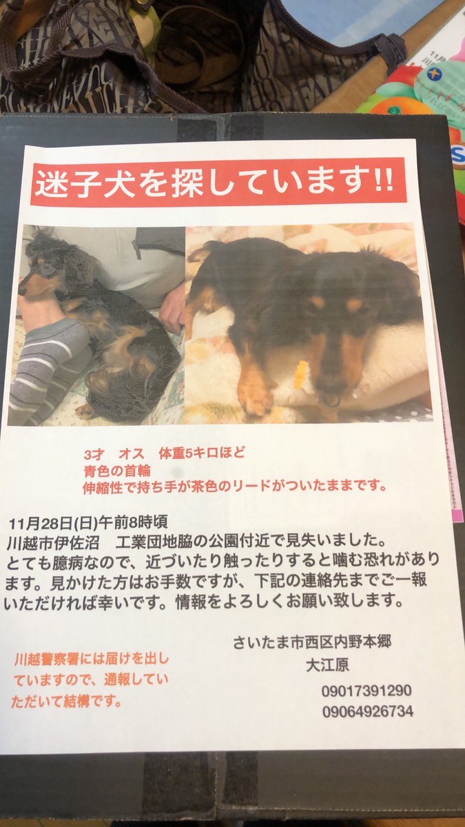 Mayamiko Mamimami0730 Twitter