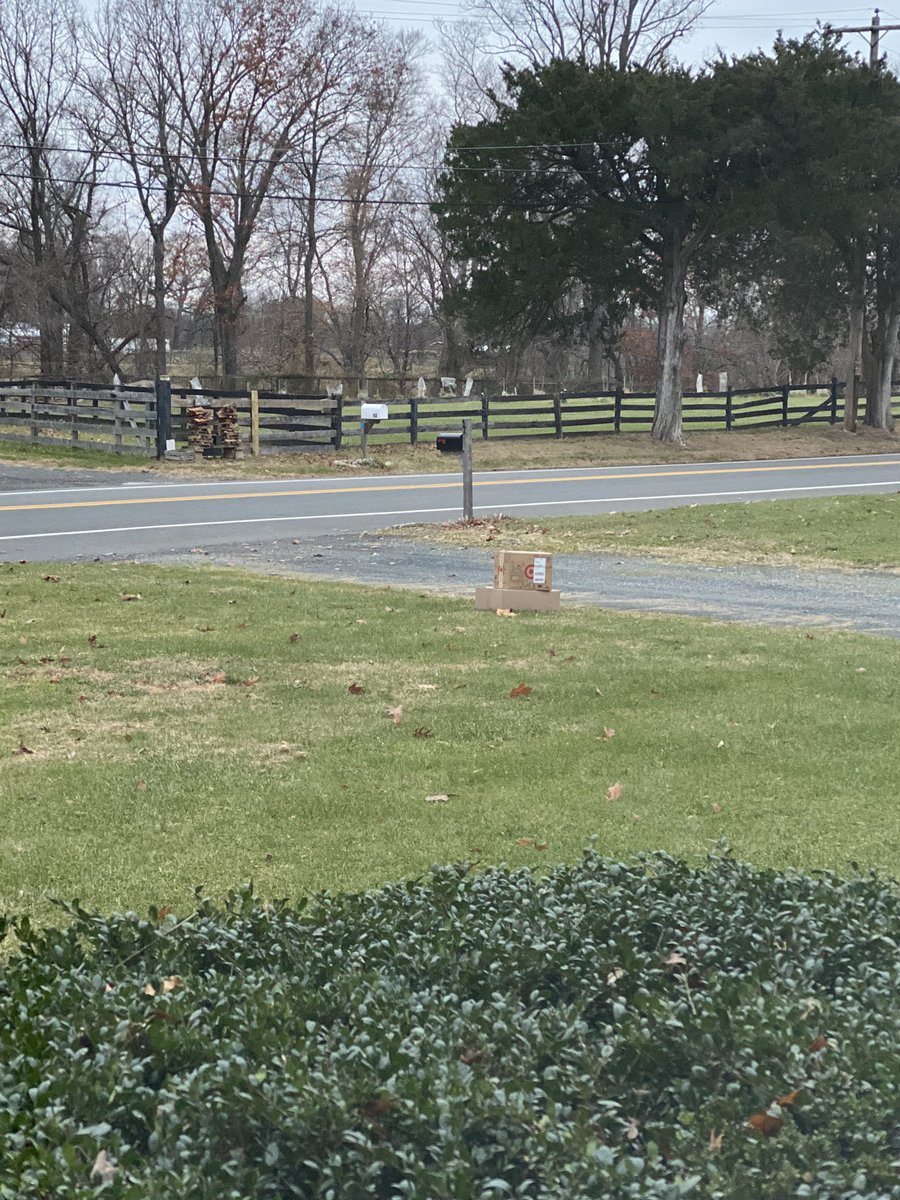 curtg39's tweet photo. @FedEx another quality delivery. Literally halfway from the road to the house. Another reason I always try and use any other delivery device. https://t.co/ggzoTfJhW8