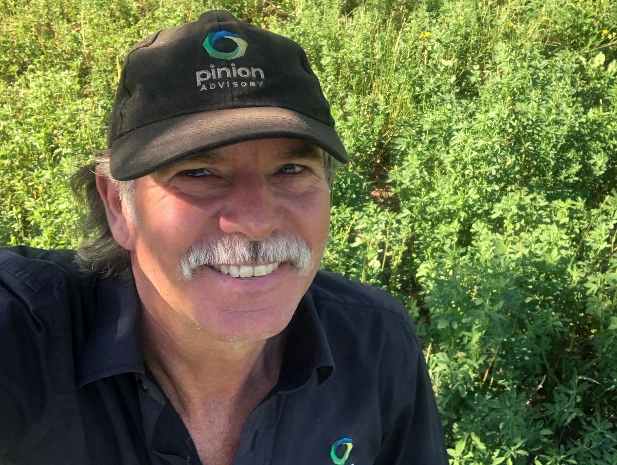 Pinion Advisory tweet media