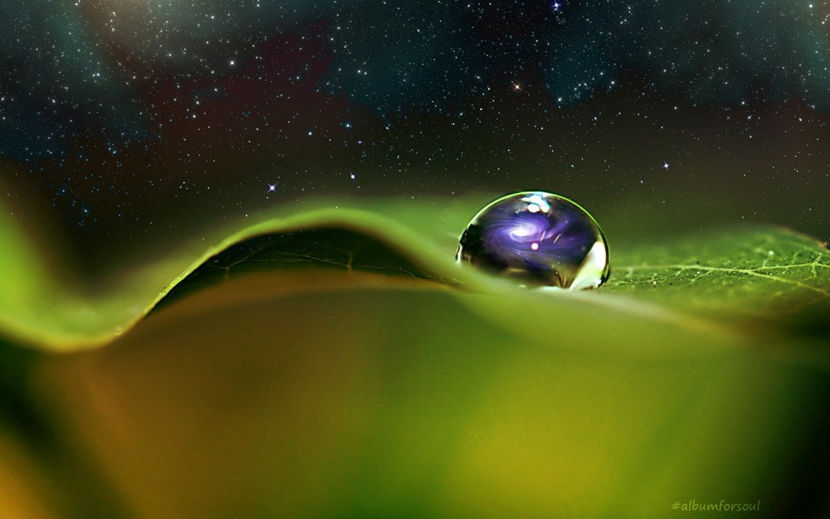 Nature reflection #albumforsoul #digitalart #photoshop