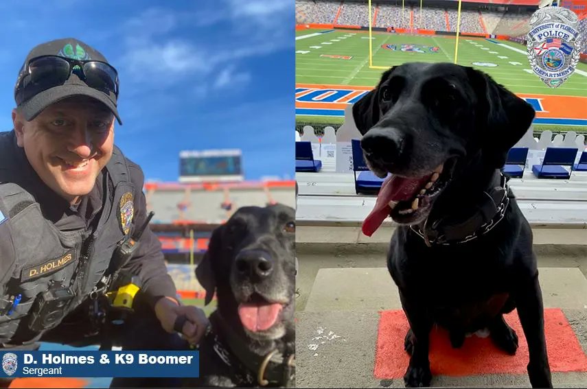 For the last 8 years, our police K-9, Boomer, has worked to keep Ben Hill Griffin Stadium safe every football Saturday. Saturday, November 27 marked his last football game.
Thank you Boomer! We hope you enjoy lots of treats and playtime in your well-deserved upcoming retirement!