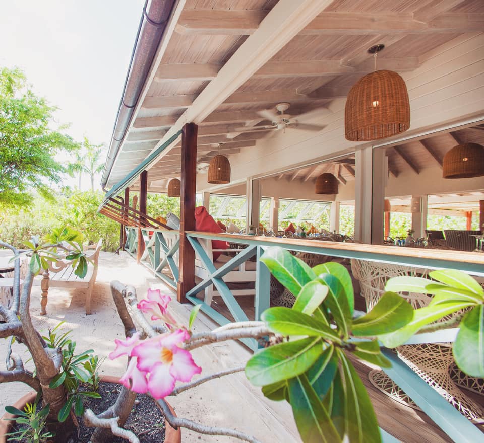 Antiguanice's tweet photo. Have dinner at Catherine’s Café in December!
😋 Reserve a table: https://t.co/AmsjyAQieR
#WhatsHotThisWeek #CatherinesCafe #RocksGroup #DininginAntigua #AntiguaNice https://t.co/mzEs9Z5MuI