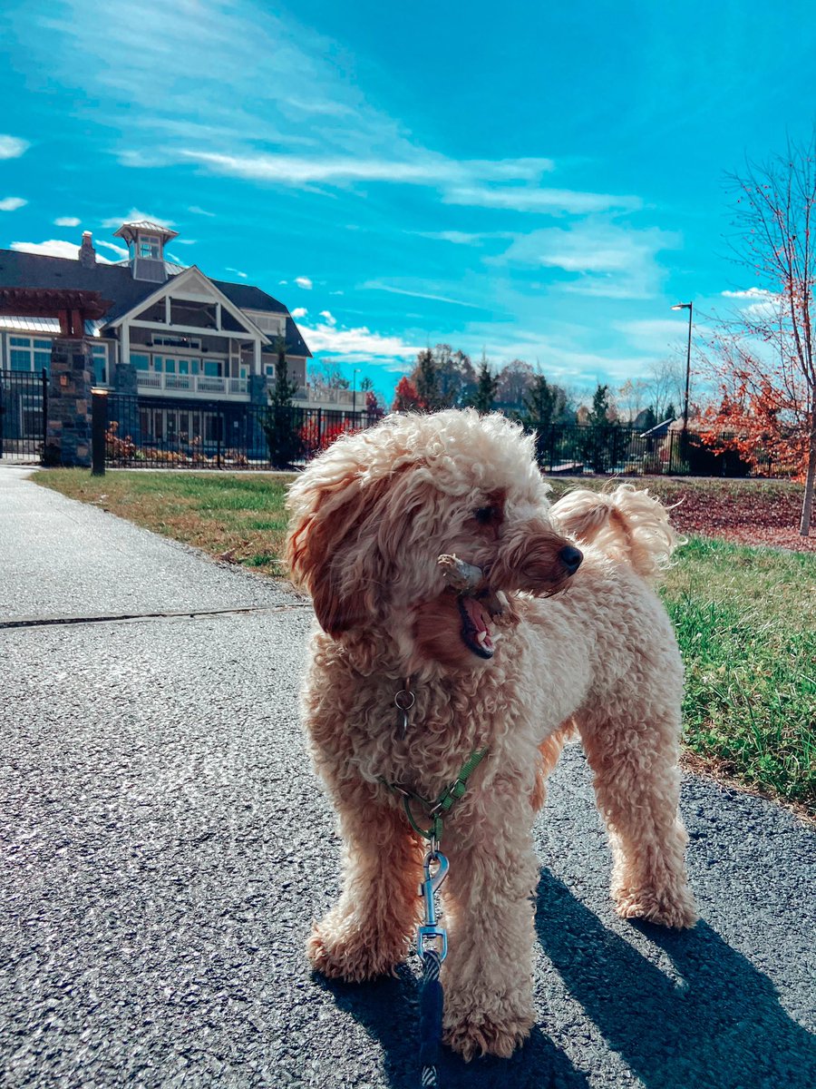 December is that you Playa ❄️👀 
.
.
Friendly reminder that tomorrow is Dec 1st. If you have not enrolled in autopay, please don’t forget to make your payments on time. Rent is late as of 10a.m on the 3rd #retreatatblacksburg #liveherelivewell