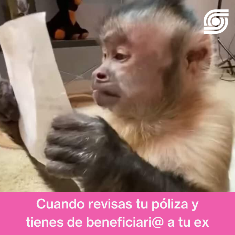 Súper Seguros tweet media