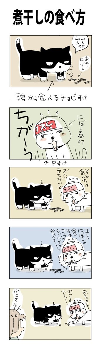 煮干しの食べ方
#こんなん描いてます #自作まんが #漫画 
#猫まんが #4コママンガ #NEKO3 