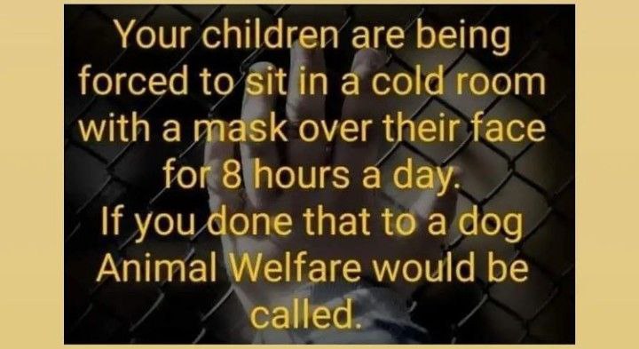 TeenHeard's tweet photo. I'm devastated that our young children are now 'required' to wear masks.  But know this.....

IT IS A GUIDELINE, NOT A LAW!!

DO NOT CONSENT 🙏

@FatEmperor @Dempz8
@Sabrina96966140 @GraTire @IrishSecondary @SaraHaboubi1 
@GraceAnne_kelly @porridgeisgood 
#LeaveOurKidsAlone https://t.co/2ApE1avXya