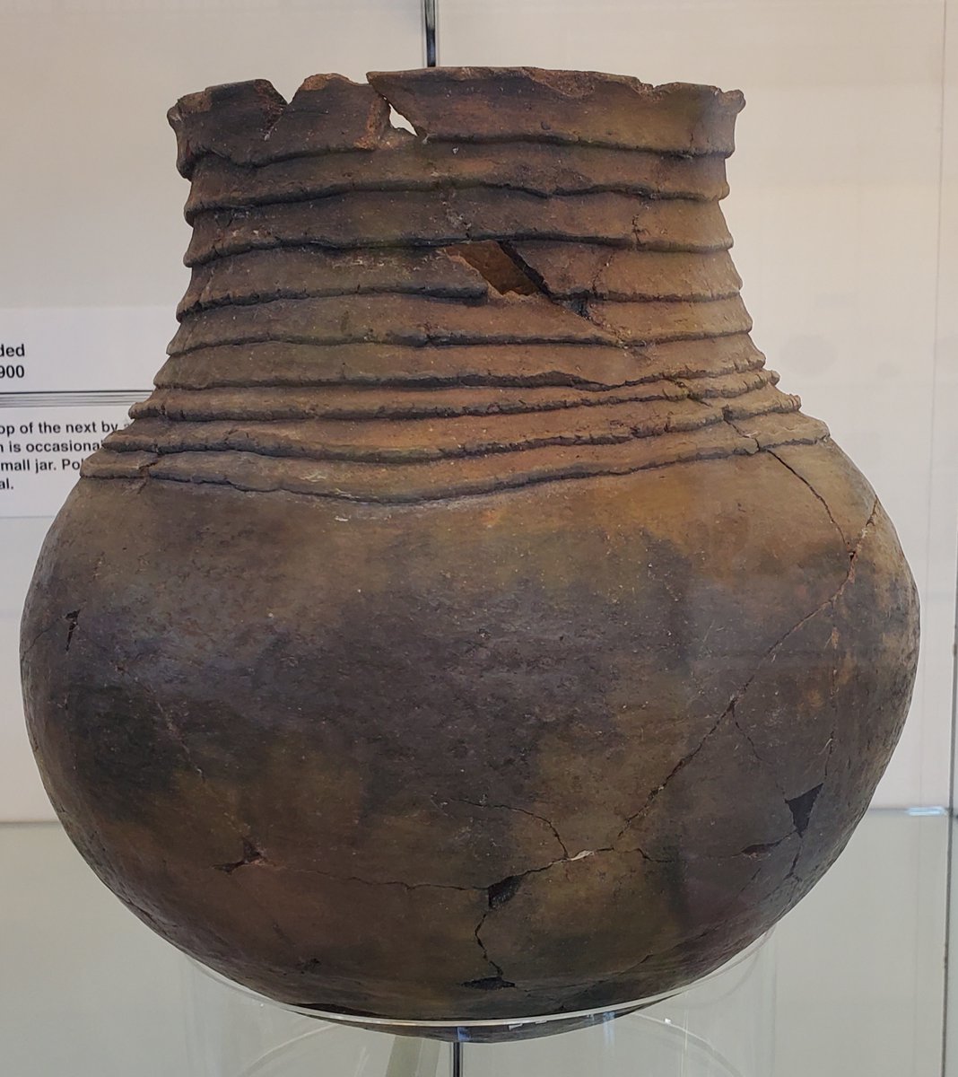 WNMUMuseum's tweet photo. This Alma Neck-banded, Olla was located in room 95 of the NAN Ranch Ruin (2011.26.9-1344(95:SF27).  
A late San Francisco phase room, this room was burned with charred contents littering the floor and was believed to be a storage room due to the nature of its contents.#WNMUMuseum https://t.co/uEZtwsvFLb