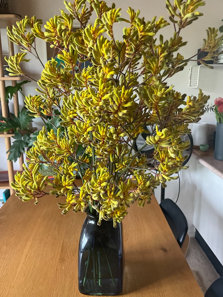 Kirsten Thorpe tweet media