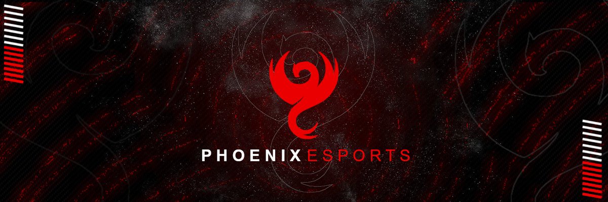 New banner design for <a href="/Phoenix_MGO/">Phoenix</a> 
Team introduction montage coming very soon📌