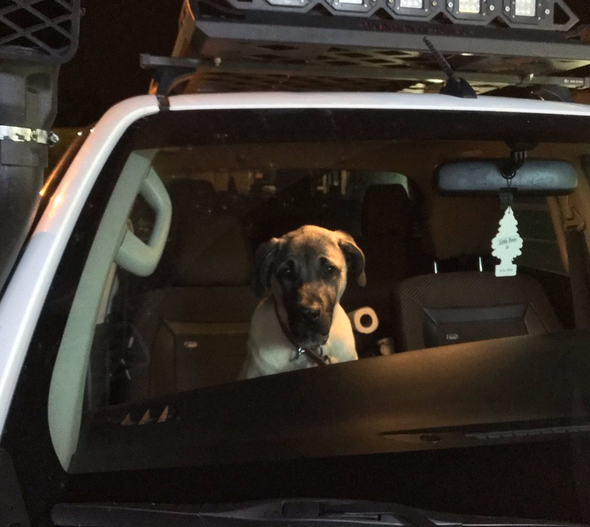 Yaratık8 &amp; Canavar ile acil vet operasyonu 😐