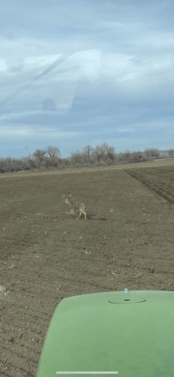 GGabelavn's tweet photo. Finished the fall field work up the day before it snowed!! This guy decided to run by as I was finishing. Now to spend the winter doing maintenance and getting ready for spring planting. #sugarbeets2022 #ridgesarebetter https://t.co/YufHHpfEJ1