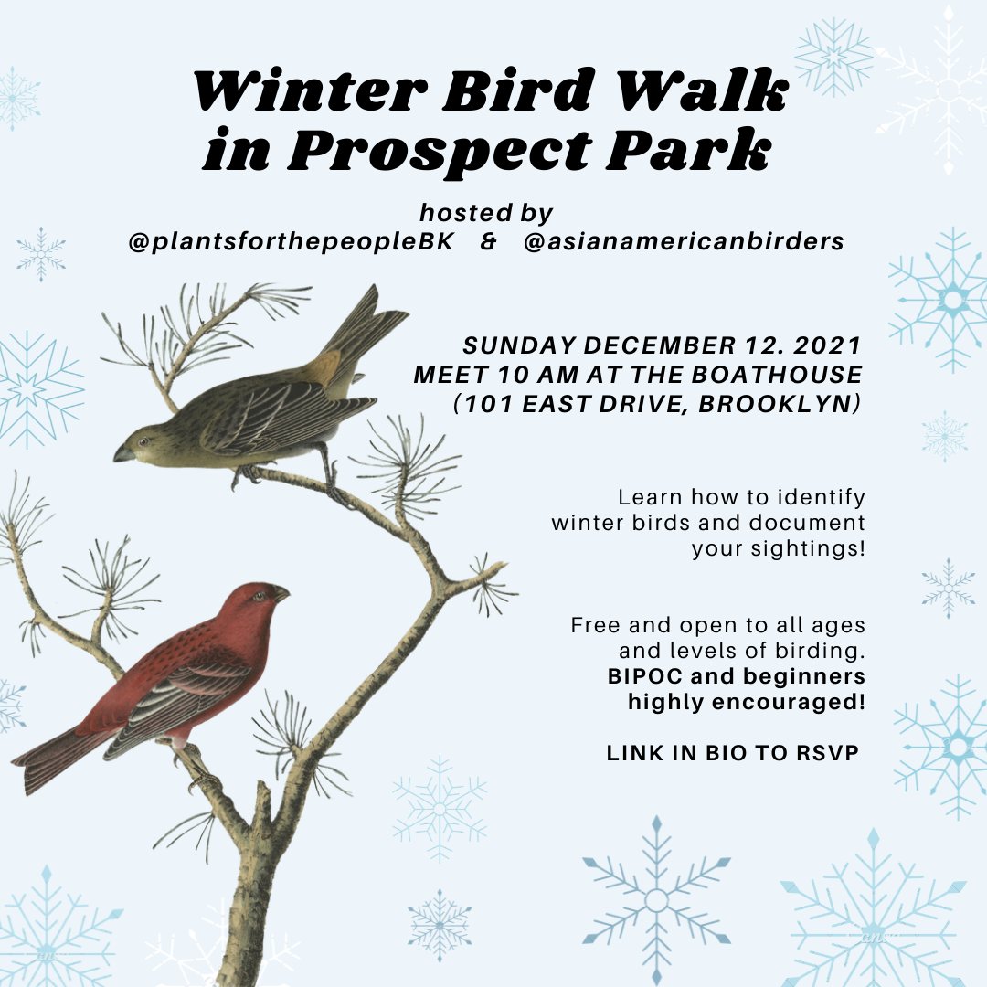IG @plantsforthepeopleBK and <a href="/AsianBirders/">Asian American Birders</a> will be hosting a Winter Bird Walk on Sunday Dec.12 in Prospect Park. 

BIPOC and beginner birders encouraged! There will be good vibes and hand warmers.

Register here:
linktr.ee/plantsforthepe…
