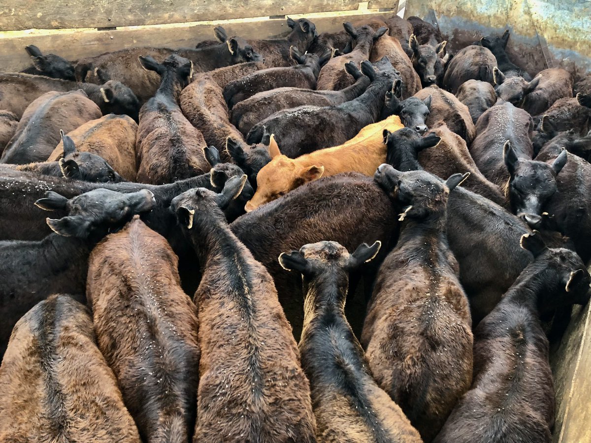 Facu Ferres tweet media