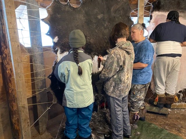 LisaHilsen's tweet photo. ⁦@HolyTrinityYMM⁩ students are getting a hands on land-based experience this week at #hide camp!  What a wonderful opportunity for indigenous teachings. #HTBuiltToPerform #WeAreFMCSD ⁦@cinpunko⁩ #landbasedteaching #indigenouseducation https://t.co/Bj9e60AoZm