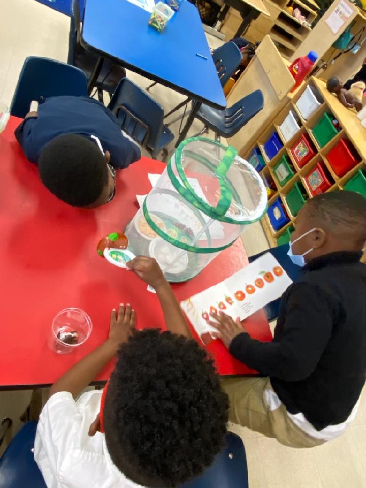 loopitupsav's tweet photo. SO EXCITING!! Our Pre-K Scholars at @GadsdenES are making wonderful observations of their butterflies and drawing the butterfly life cycle from memory! @SCCPSS_T_Team @AnnLPGA #LoopingLiteracyTogether #STEAMDream #Sequencing #LifeCycles #Observations #BeautifulArtBeautifulMinds https://t.co/0aEyM2xR3v