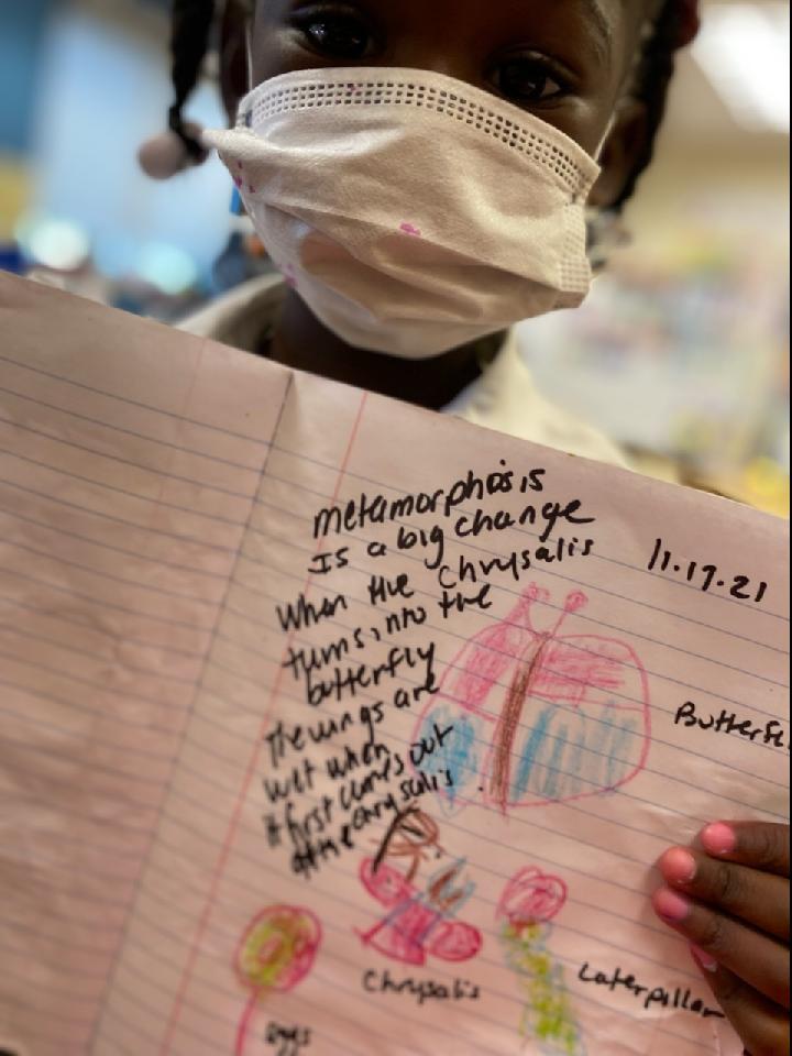 loopitupsav's tweet photo. SO EXCITING!! Our Pre-K Scholars at @GadsdenES are making wonderful observations of their butterflies and drawing the butterfly life cycle from memory! @SCCPSS_T_Team @AnnLPGA #LoopingLiteracyTogether #STEAMDream #Sequencing #LifeCycles #Observations #BeautifulArtBeautifulMinds https://t.co/0aEyM2xR3v