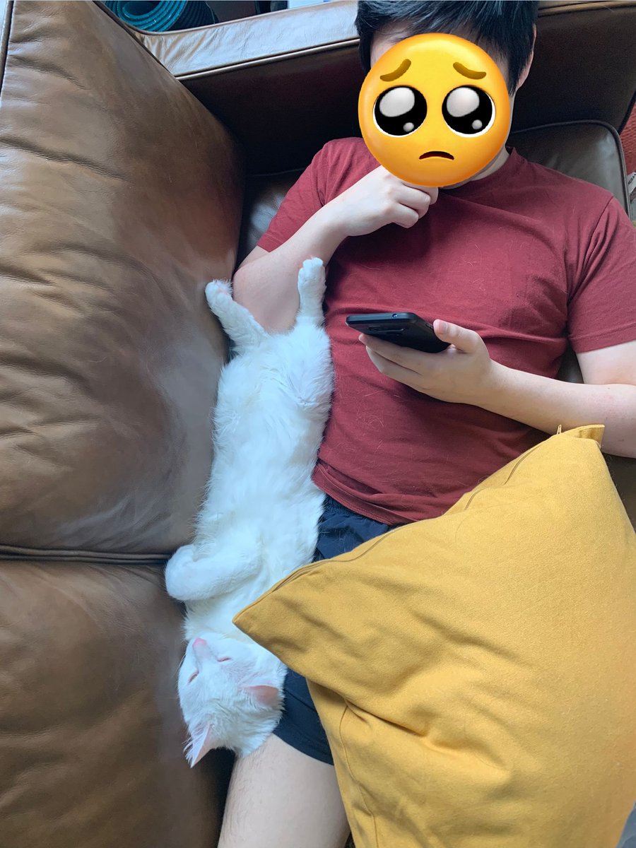 Bryan Kho tweet media