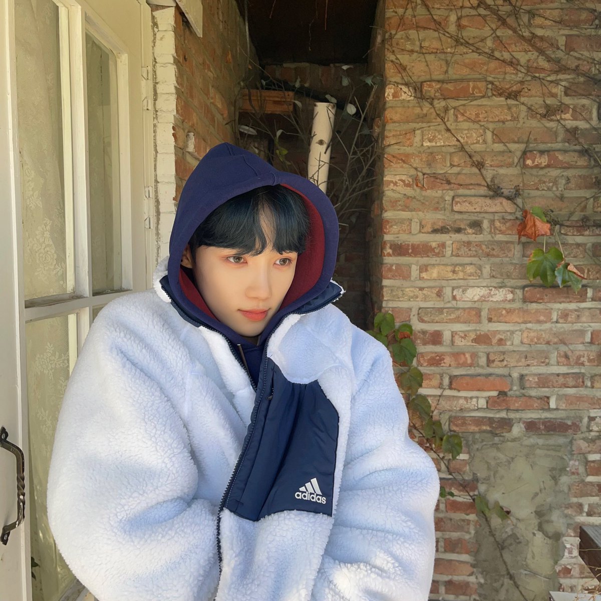 tiny_kyunyu's tweet photo. https://t.co/iFpZNIsV74