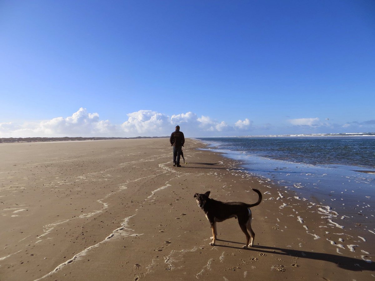 You both went, I will follow in the furure❤ #memories #Terschelling