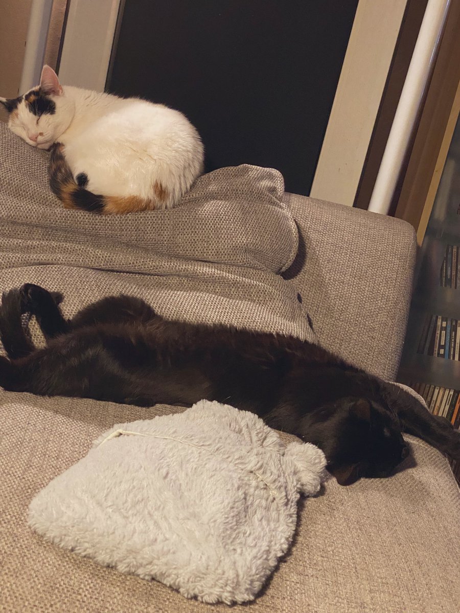 Luna and Lily❤️ Luna is so ladylike