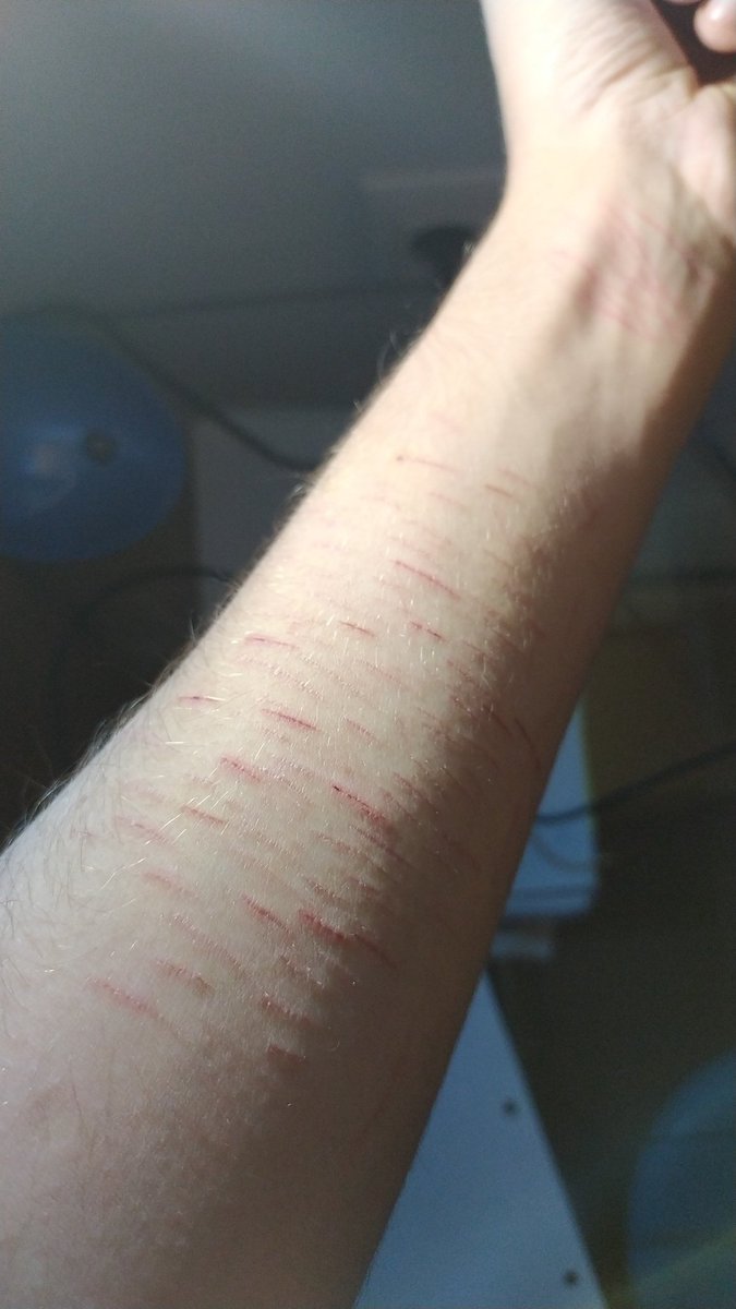 codebar_'s tweet image. se estan yendo ajahajhs
habrá que hacer más