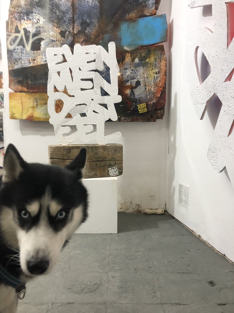 ashwanarts's tweet photo. Studio visit #art #ashwan #husky #dawgs #ashwanarts @biencuadrado https://t.co/GsrstoMAyg