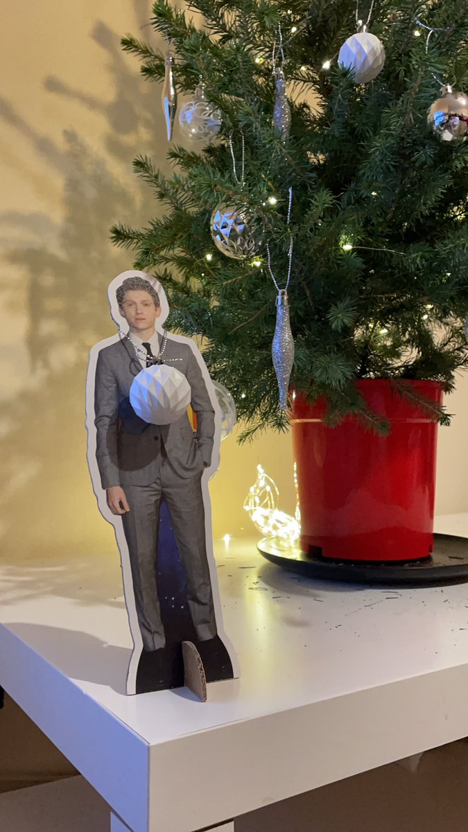e_hillier28's tweet photo. Forget elf on the shelf, Tom on the shelf starts tomorrow…🤣@TomHolland1996 https://t.co/fIuTWgzx1L