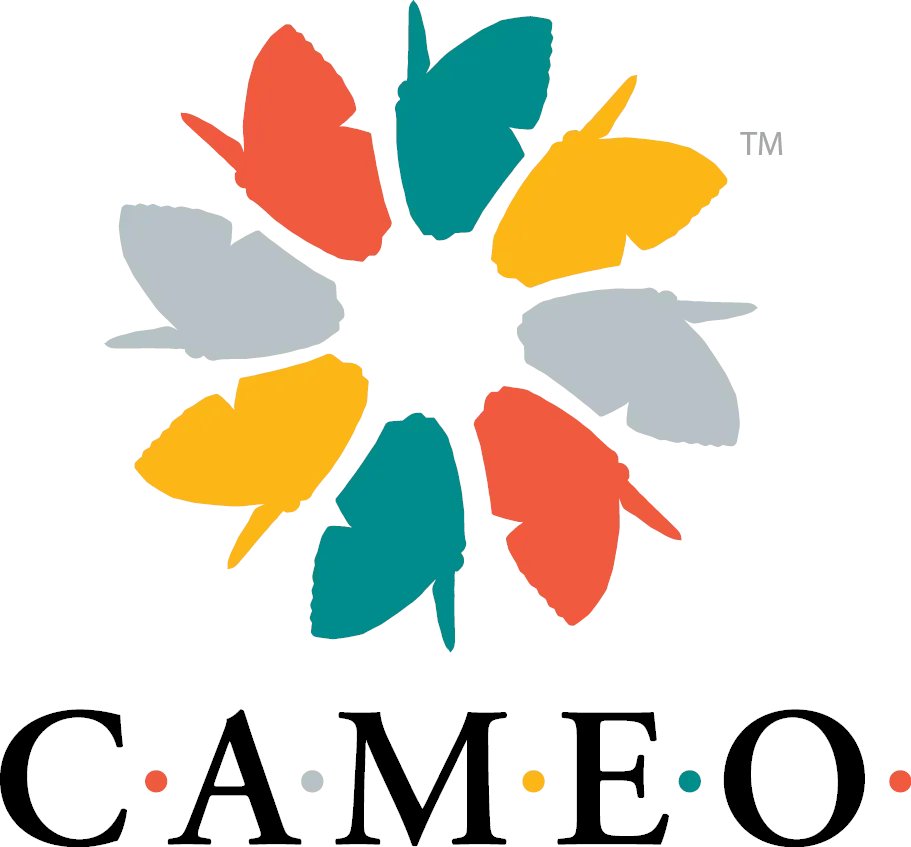 Learn about Lenderfit in an upcoming <a href="/CAMEOnetwork/">CAMEO</a> webinar!

California's statewide Micro Enterprise network, CAMEO is the voice for micro business &amp; creates a thriving ecosystem of resources for all entrepreneurs.

#CDFI RSVP: buff.ly/3xMWXRq
