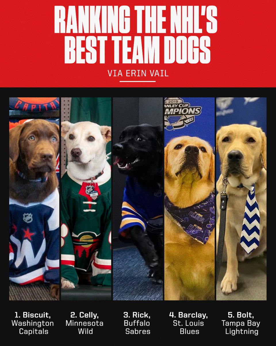 espn's tweet photo. Pups on ice 🐶❄️

A countdown of the best NHL team dogs from @vailerin32 🏒

Full list: https://t.co/JHYmbufEo1 https://t.co/nQnAIADgLy