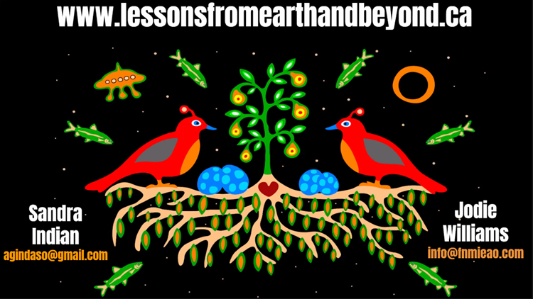 RiversoMaria's tweet photo. Thank you Sandra Indian and @jodiesgot5 for tonight's @otffeo #OTFConnects webinar sharing "Lessons From Beyond". 

👇 Comprehensive digital resource to engage Ss in learning abt the mysteries of the cosmos thru Indigenous knowledge systems. @FNMIEAO TY
➡️ https://t.co/5vmSu3KJmg https://t.co/lhGxhmN9pZ