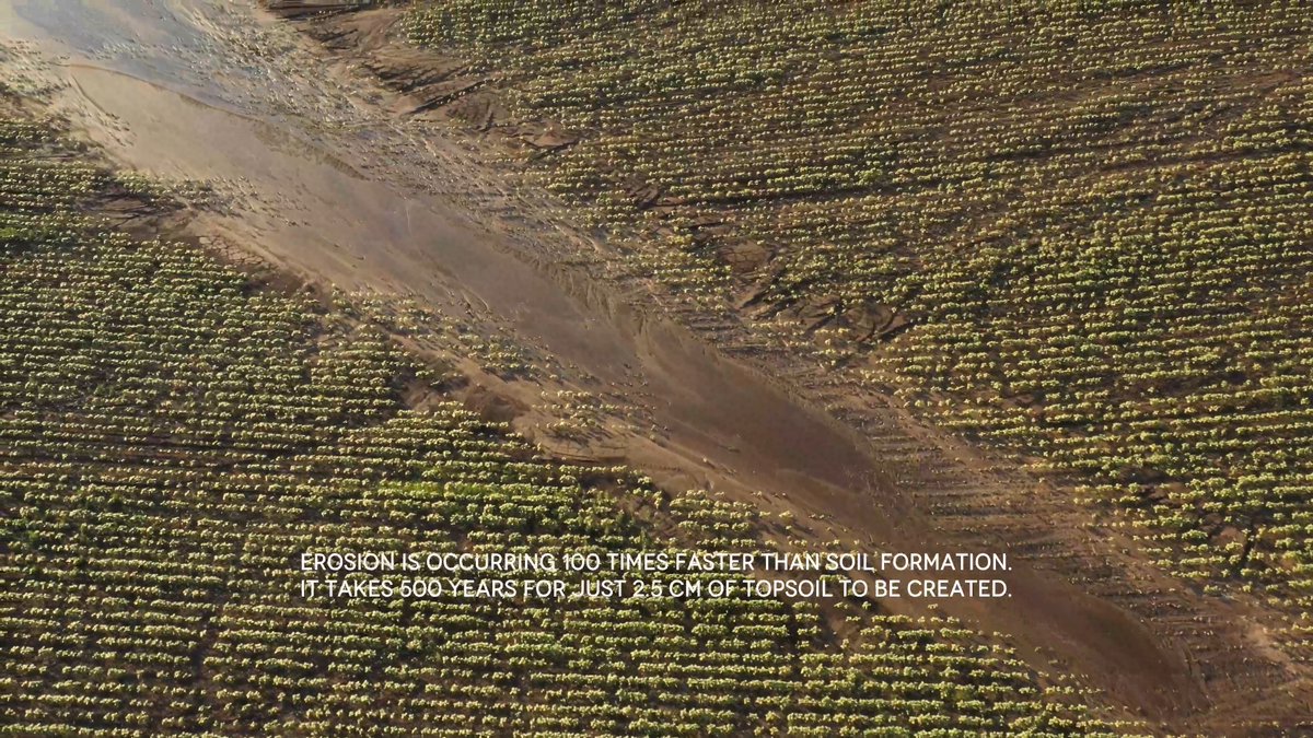 InfiniteAcres tweet media