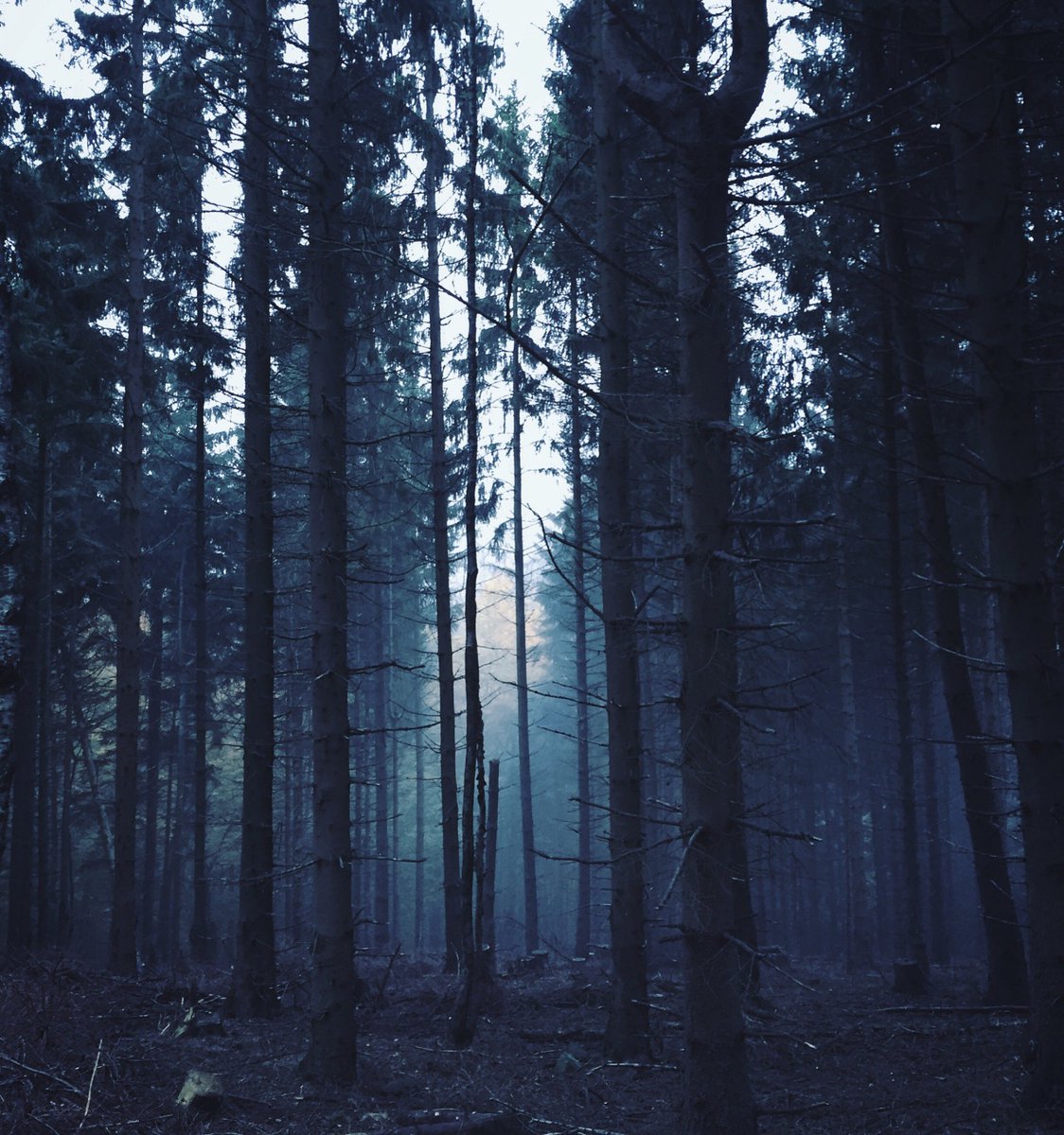 archillect's tweet image. 