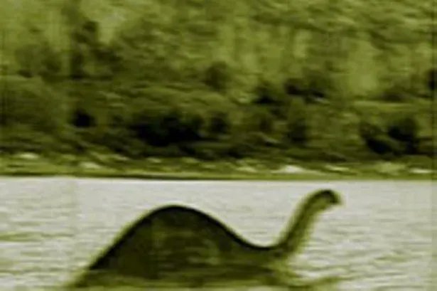 WerewolfRadar's tweet photo. The Mokele-mbembe (Mokèlé-mbèmbé) /mowkəl-mbɛmb/)] for "one who stops the flow of rivers", is a water-dwelling entity that supposedly lives in the Congo River Basin, sometimes described as a living creature, sometimes as a spirit. 

#mokelembembe #unknowncreature #werewolfradar https://t.co/9gYKgTzObh