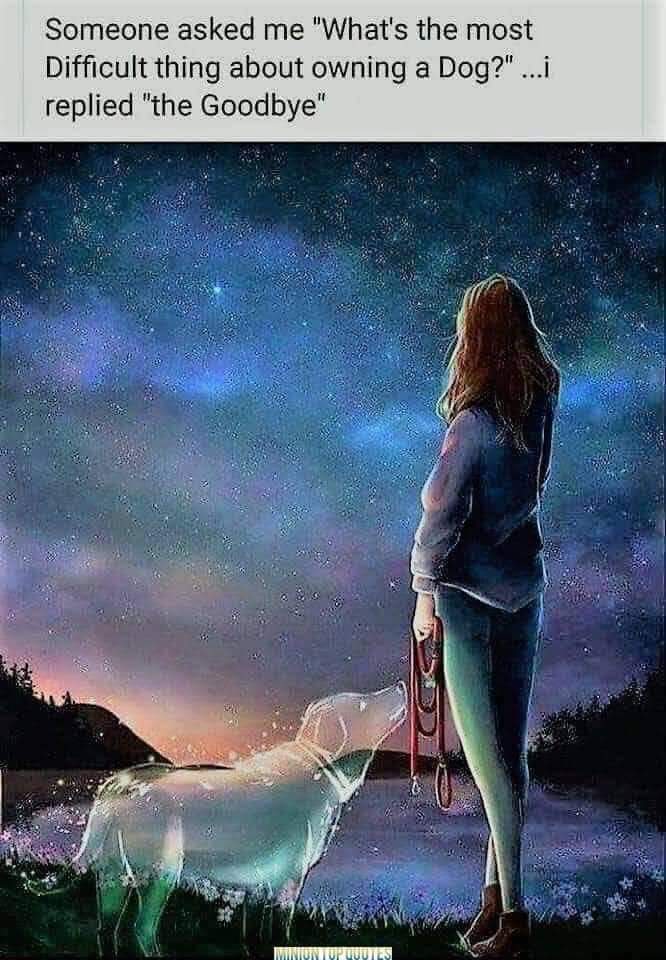 @46mingo Very sorry. I have been posting this meme for several weeks. So many of our furbabies seem to be passing on.