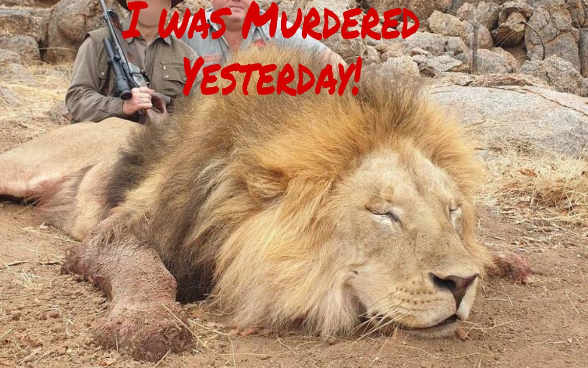 LionExpose tweet media