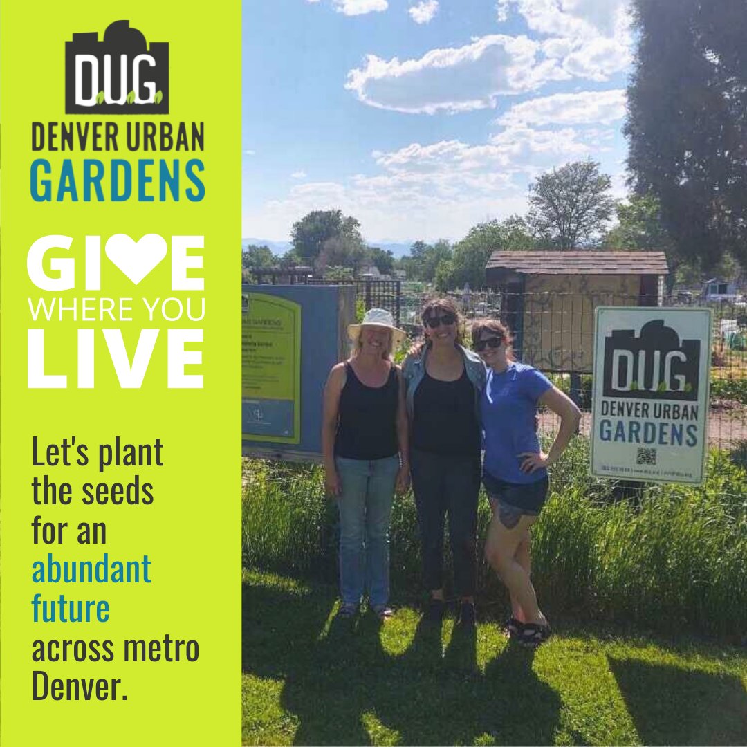 DUG serves 40,000+ people through our gardens &amp; programs, and today for #GivingTuesday we are planting the seeds for an abundant 2022. 
#Givewhereyoulive today to support our 190 #community gardens or schedule your donation for #ColoradoGivesDay at coloradogives.org/DUG!